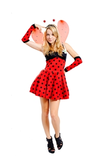 Ladybird costume