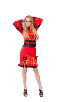 Carnival cosplay costume
