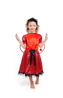 ladybug costume