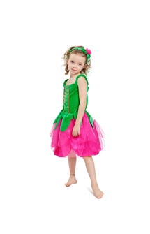 fairy costume