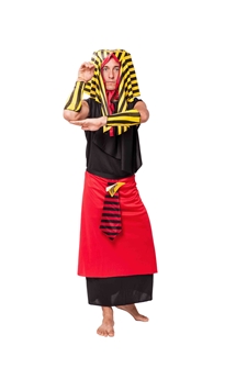 Costume for Festival show