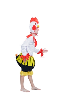 Cock costume  