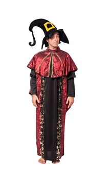 Aduclt Cosplay costume 